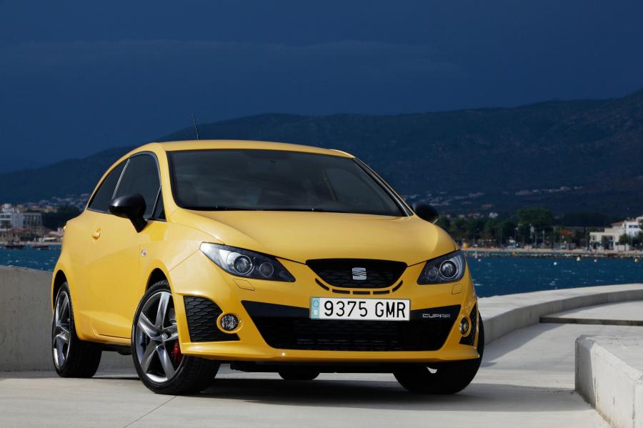  Seat Ibiza Cupra 2009 года  (фото 54 из 84)